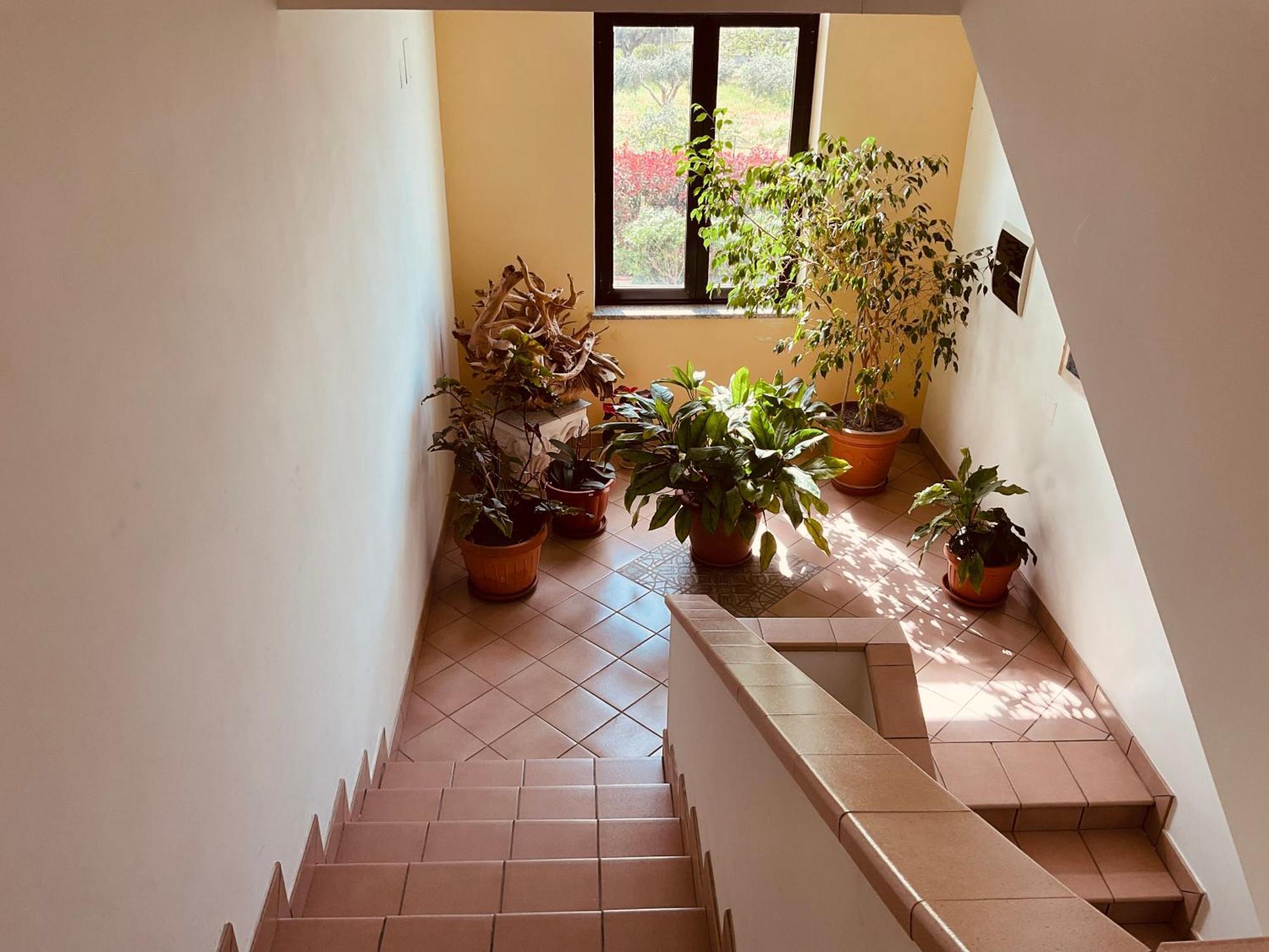 Casa Vacanza Demetra Fuscaldo Zewnętrze zdjęcie